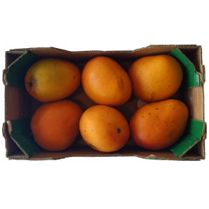 Mangoes Box