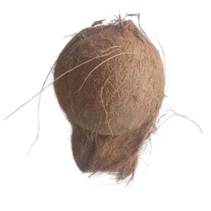 Coconut